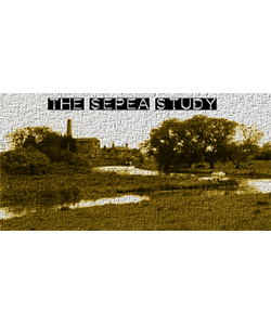The SEPEA study